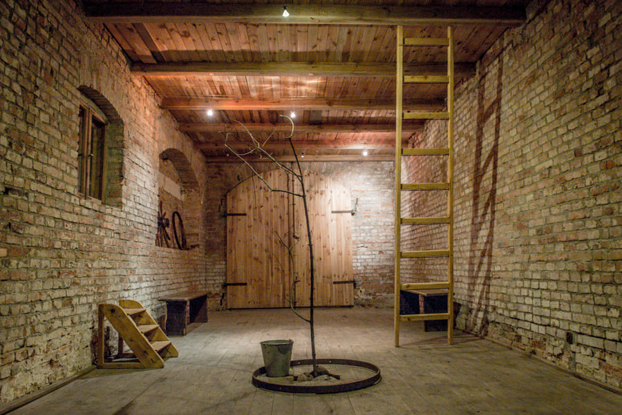 Brzezinka, 2015, photo Maciej Zakrzewski